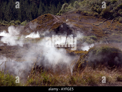 Dampfend heiße Quellen und kleinen Geysiren am Krater des Mondes Gegend um Taupo, geothermische Aktivität Nordinsel Neuseeland Stockfoto