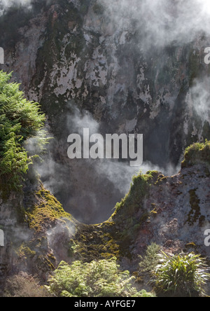 Dampfend heiße Quellen und kleinen Geysiren am Krater des Mondes Gegend um Taupo, geothermische Aktivität Nordinsel Neuseeland Stockfoto