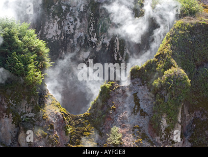 Dampfend heiße Quellen und kleine Geysire im Krater des Mondes Gegend um Taupo geothermische Aktivität, Nordinsel, Neuseeland Stockfoto