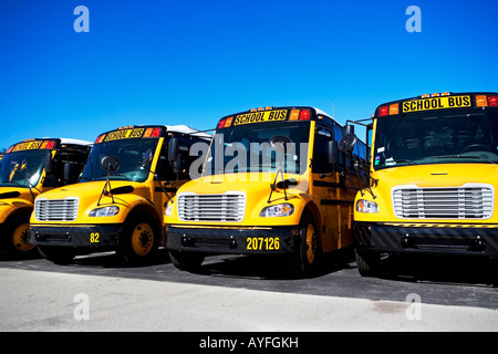 Schulbusse in Folge Stockfoto