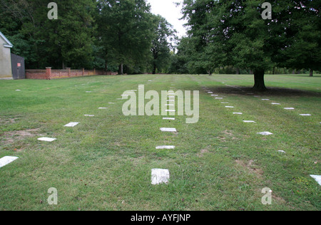 Reihen von Grabsteinen auf dem Nationalfriedhof Poplar Grove Petersburg, VA. Stockfoto