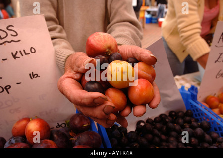 EIN STANDBESITZER ZEIGT SEINE FRISCHE PRODUKTE AUF DEM BAUERNMARKT IN STROUD GLOUCESTERSHIRE UK Stockfoto