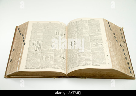 Webster's New International Dictionary der englischen zweiten Edition ungekürzte Fassung 1955 öffnen auf weißem Hintergrund gedruckt