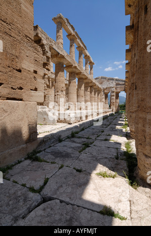 Der Neptun-Tempel in Paestum Italien Stockfoto