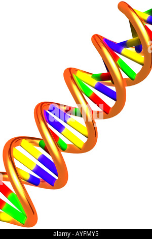 DNA-Doppelhelix Spirale wissenschaftliche 3D illustration Stockfoto