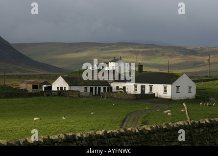 Langdon Beck im oberen Teesdale, County Durham Stockfoto