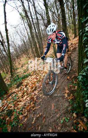 MTB XC Stockfoto