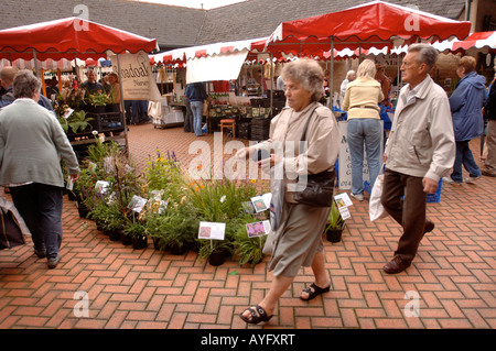 DER BAUERNMARKT IN STROUD GLOUCESTERSHIRE Stockfoto