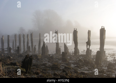 Die Ruinen von Kennet Pow, löscht Kennetpans an der Mündung der Forth als einen frühen Morgennebel einfrieren. Stockfoto