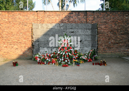 Der Tod Mauer (Ausführung) zwischen Blöcken 10 und 11, Museum Auschwitz-Birkenau, Oswiecim, Polen. Stockfoto