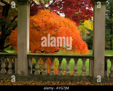 Garden scene in autumn. Stockfoto