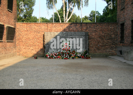 Der Tod Mauer (Ausführung) zwischen Blöcken 10 und 11, Museum Auschwitz-Birkenau, Oswiecim, Polen. Stockfoto