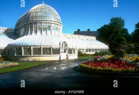 Viktorianische Palm House Belfast Botanic Gardens Belfast Nordirland Stockfoto