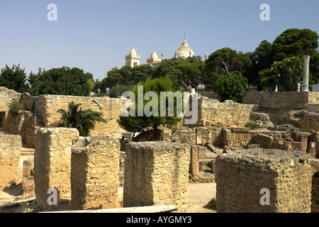 Carthage Ruinen und das Museum Byrsa-Hügel-Tunesien Stockfoto