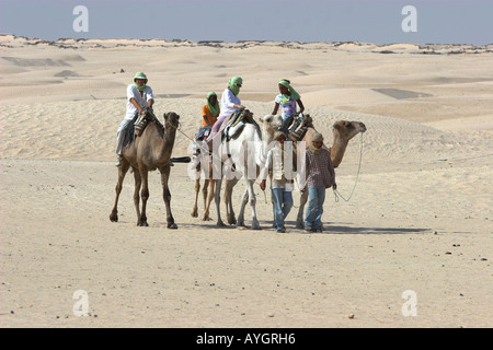 Kameltrekking in der Sahara Wüste in der Nähe von Douz Tunesien Stockfoto