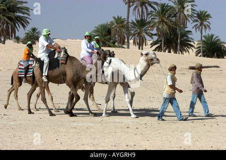 Kameltrekking in der Sahara Wüste in der Nähe von Douz Tunesien Stockfoto