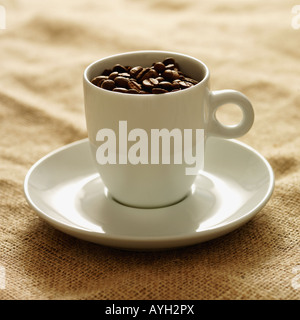 Tasse mit Kaffeebohnen gefüllt Stockfoto