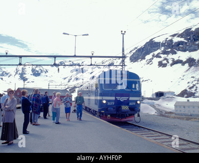 Zug am Bahnhof Myrdal, Flåm Railway, Sogn Og Fjordane, Norwegen. Stockfoto