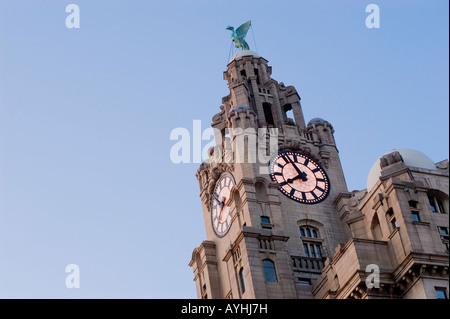 Das Royal Liver Building, Liverpool, England, UK. Zeigt einen der berühmten Liver Birds auf der Oberseite der Clock Tower. Stockfoto