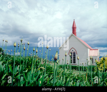Burnside Kirche, Wairaapa, Neuseeland Stockfoto