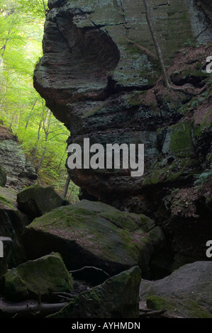 Felswand in Parfreys Glen, Parfeys Glen State Natural Area, Teufels Lake State Park, Baraboo Hills, Wisconsin USA Stockfoto