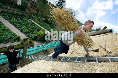 Master Thatcher James Caro (rechts) klettert mit einem Bündel Stroh Stroh das Dach des Anne Hathaways Hütte zu reparieren Stockfoto