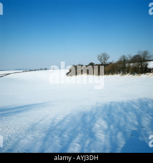 Seasons Serie große Kreide Downland Feld Combe Berkshire von einem leichten Fall von Schnee bedeckt Stockfoto