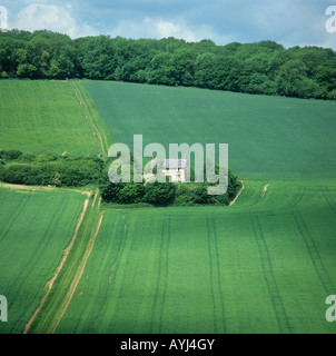 Jahreszeiten-Serie von vier Feldern Vernham Dean Hampshire Mai grün Getreide Stockfoto