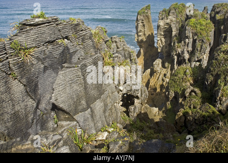 Pancake Rocks in Punakaiki auf der Südinsel von Neuseeland Stockfoto