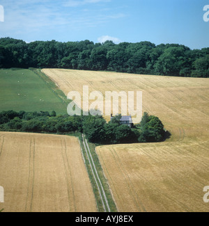 Jahreszeiten-Serie von vier Feldern bei Vernham Dean Hampshire Reife Gerste Juli Stockfoto