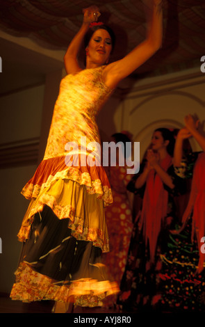 Sevilla-Flamenco-Show für Touristen im tablao Stockfoto