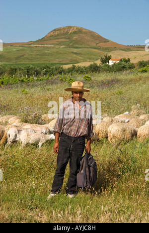 Zwischen den Provinzen Trapani und Palermo, Sizilien. Straße von Alcamo Wein DOC Stockfoto