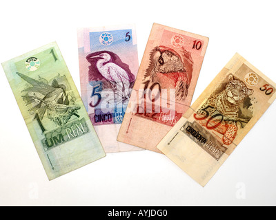 Brasilianische Geld Notizen Stockfoto