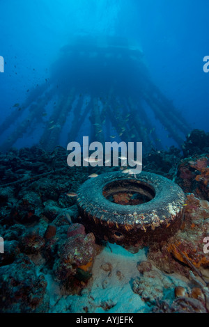 Salz Pier strukturieren Unterwasser-Bonaire-Niederlande-Antillies Stockfoto