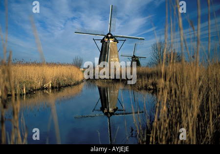 Traditionellen Windmühlen die Kinderdijk Stockfoto