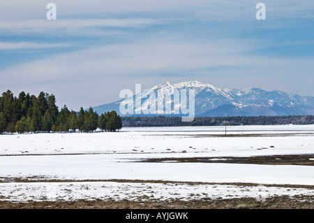 Blick über einen gefrorenen See der Mormonen gegen die San Francisco Peaks in der Nähe von Flagstaff, Arizona Stockfoto