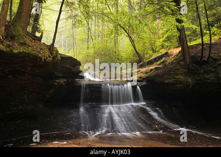 Schöpfung fällt Rainbow Wildnis Red River Gorge geologischen Bereich Daniel Boone National Forest Kentucky Stockfoto