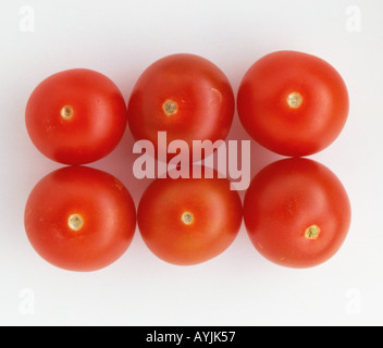 6 Strauchtomaten Stockfoto