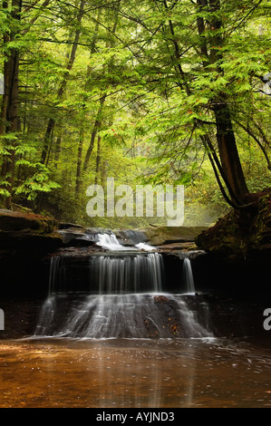 Schöpfung fällt Rainbow Wildnis Red River Gorge geologischen Bereich Daniel Boone National Forest Kentucky Stockfoto