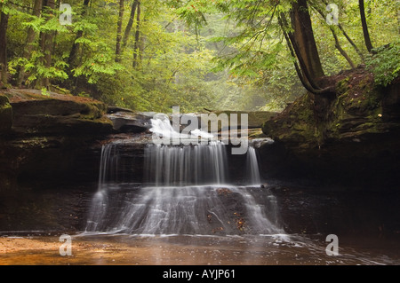 Schöpfung fällt Rainbow Wildnis Red River Gorge geologischen Bereich Daniel Boone National Forest Kentucky Stockfoto