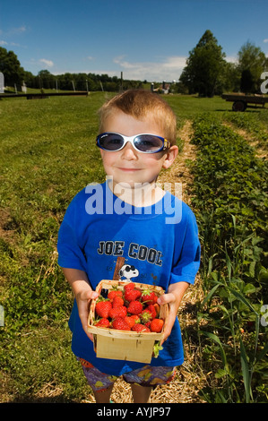 Junge auf landwirtschaftlichen Betrieb Quart von Erdbeeren in der Nähe von Lanesville Indiana Stockfoto