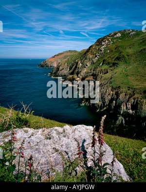 Blick entlang der Angelsey Küstenweg in Richtung der Hölle Mund. Anglesey. Wales Stockfoto