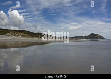 Beeindruckende menschenleer Wharariki Beach im Norden der Südinsel von Neuseeland Stockfoto