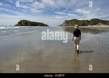 Beeindruckende Wharariki Beach im Norden der Südinsel von Neuseeland Stockfoto