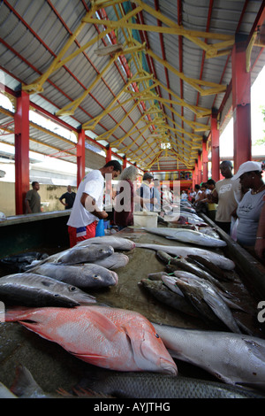 Fisch stall bei Sir Selwyn Selwyn Clarke Market in Victoria, Mahé, Seychellen Stockfoto