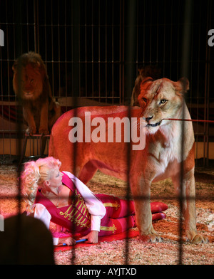 Weibliche Löwenbändiger während der show des Zirkus Renz in Maastricht Stockfoto