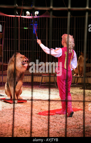 Weibliche Löwenbändiger während der show des Zirkus Renz in Maastricht Stockfoto