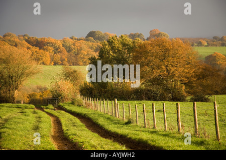 Sturm über Herbst farbige Landschaft Kent Naht Stockfoto