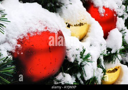 Nahaufnahme der Ornamente auf ein Outdoor-Weihnachtsbaum Stockfoto