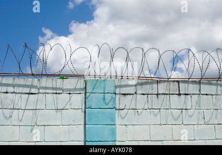 Steinmauer mit Spulen von Stacheldraht obendrauf Stockfoto